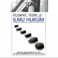 Hukum Dan Teori Hukum