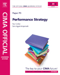 Image of Performance Strategy