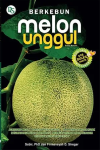 Berkebun Melon Unggul