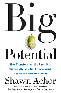 Image of Big Potential: How Transforming the Pursuit of Success Raises Our Achievement, Happiness and Well-Being