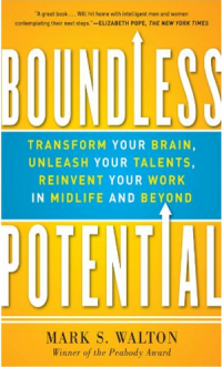 Image of Boundless potential : transform your brain, unleash your talents, ...