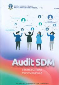 Image of Audit SDM