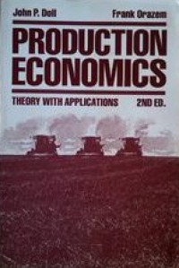 Image of Production economics : Theory with Application